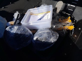 Divers Agrisem <pas de famille>