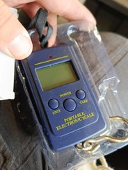 Semoir - autre Agrisem DSF2200