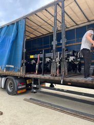 Semoir pour semis simplifié Agrisem Strip-Cat II porté Fixe