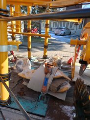 Divers Agrisem <pas de famille>