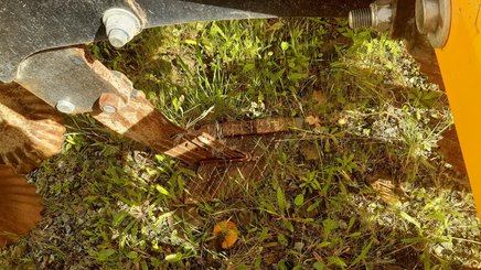 Déchaumeur Agrisem Maximulch Série 3 porté Fixe