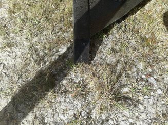 Décompacteur Agrisem Combiplow Platinum Fixe